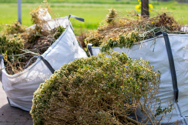 Best Carpet Removal and Disposal  in Beaver, WV